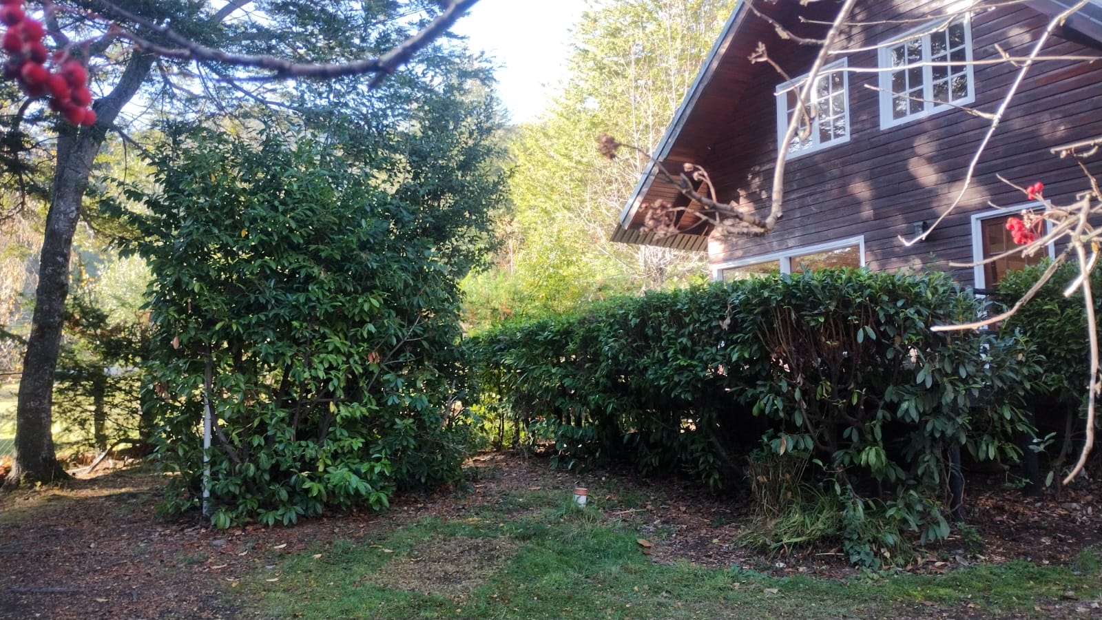 CASA COLIBRI – PUERTO MANZANO